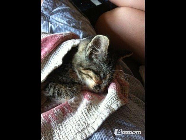 Huskat Hope billede 10