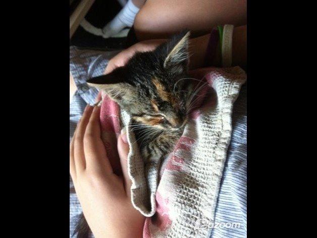 Huskat Hope billede 12