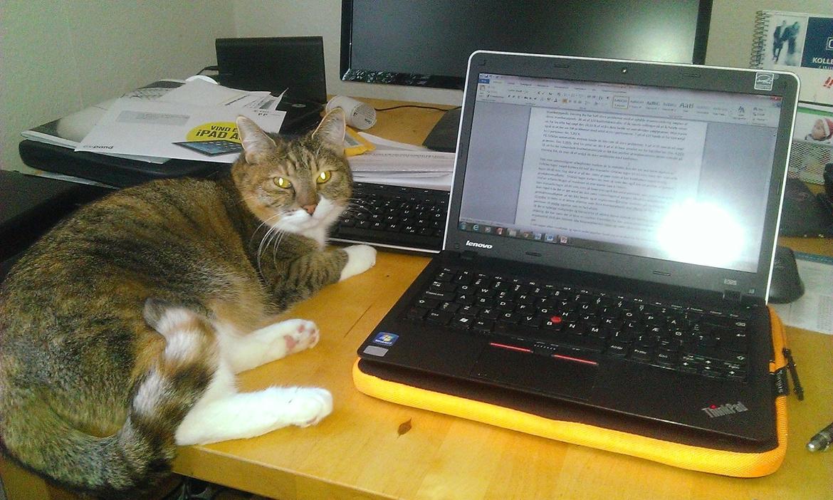 Blanding af racer Isis - En lille misser som hjælper ved computeren  billede 8