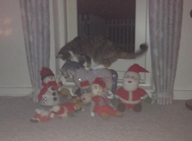 Huskat Muzz - Leger med nisserne. billede 21