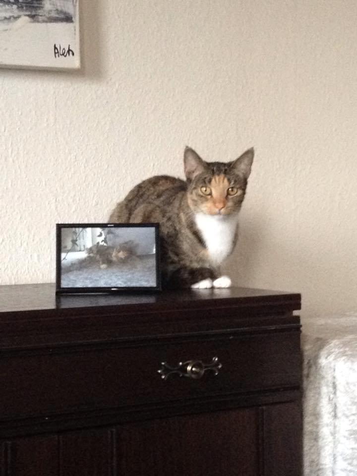 Huskat Muzz billede 31