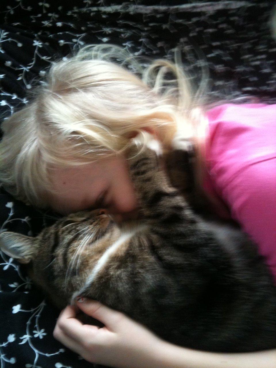 Huskat Louis billede 5