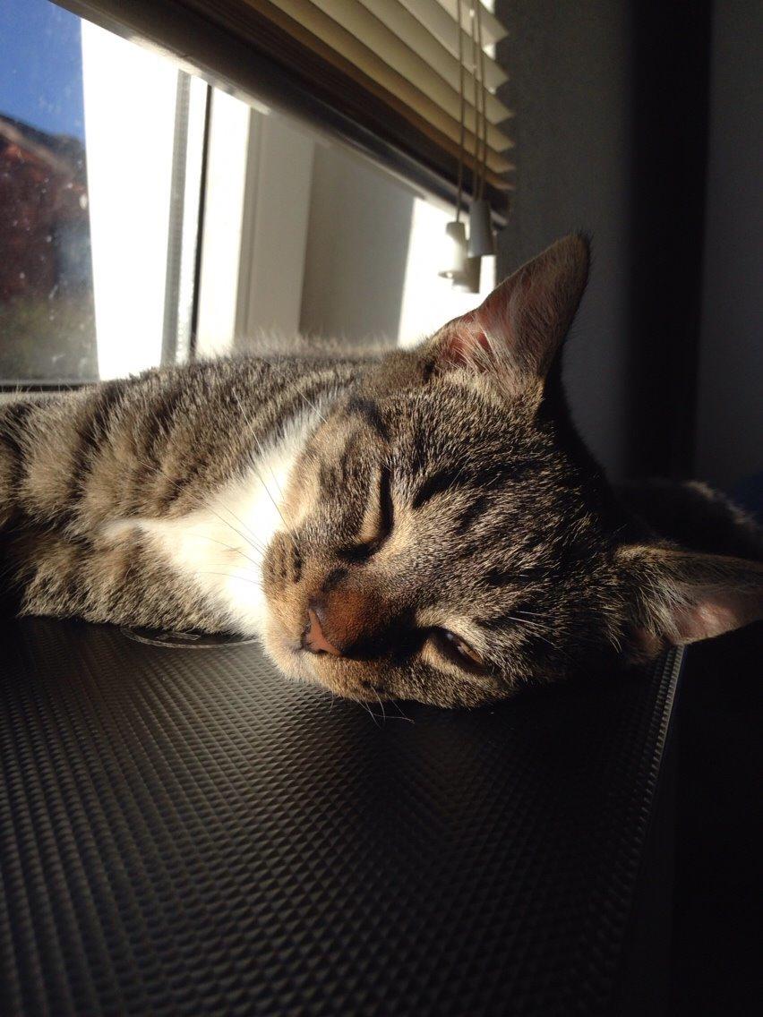 Huskat Tonser billede 9