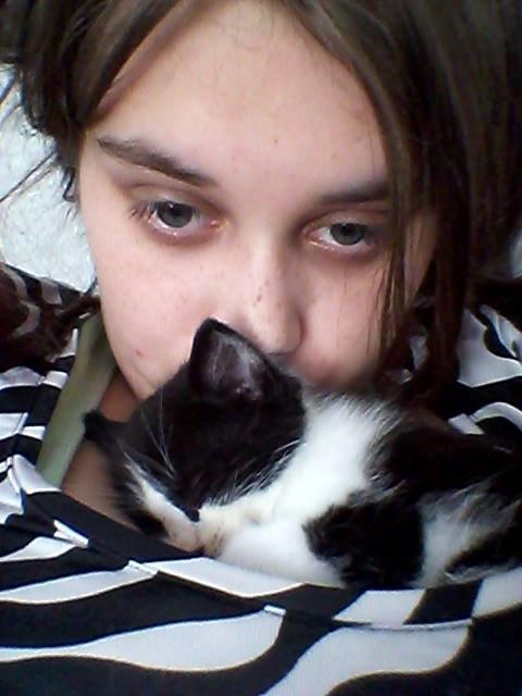 Blanding af racer Teemo billede 3