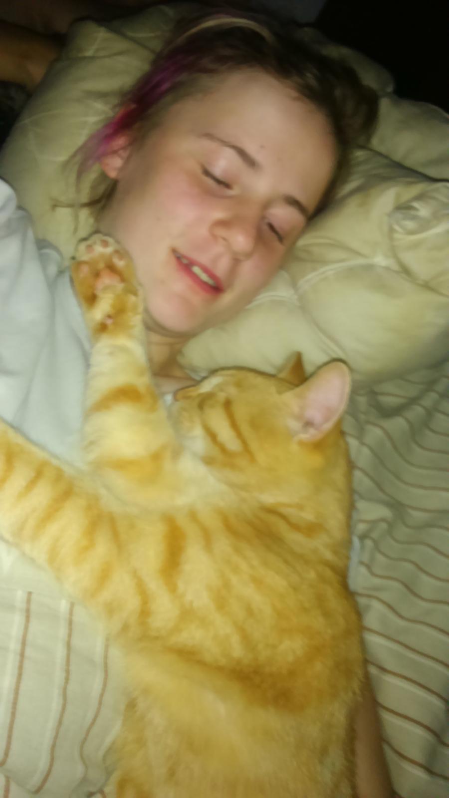 Blanding af racer Garfield billede 9