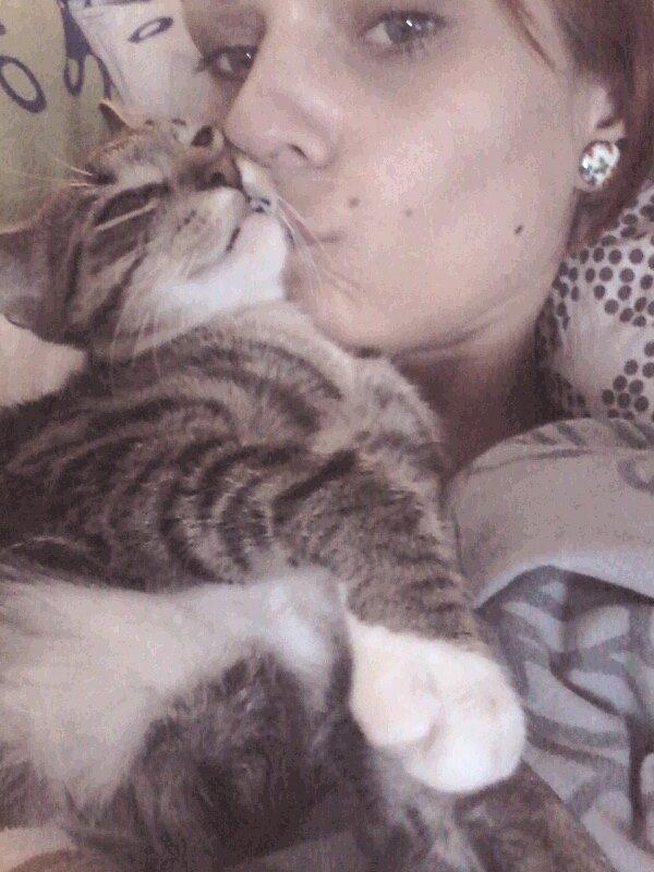 Huskat Berlioz billede 8