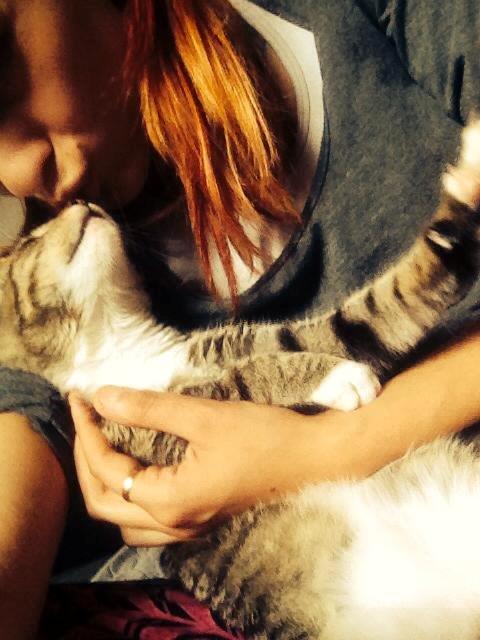 Huskat Berlioz billede 10