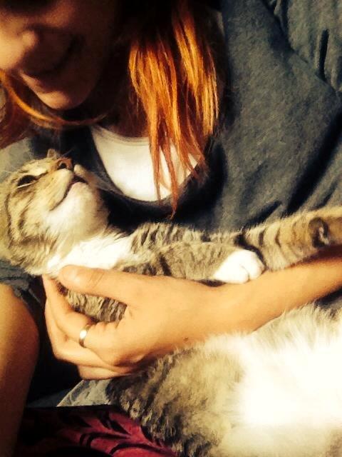 Huskat Berlioz billede 11