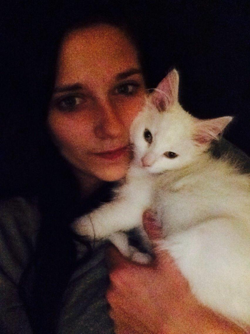 Maine Coon Ahri "Mitte" billede 1