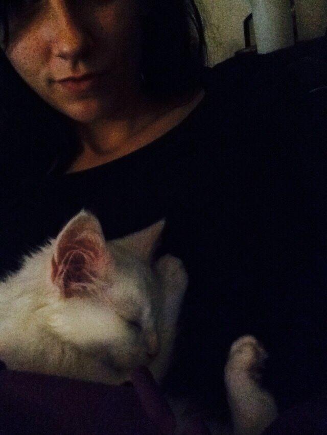 Maine Coon Ahri "Mitte" billede 5