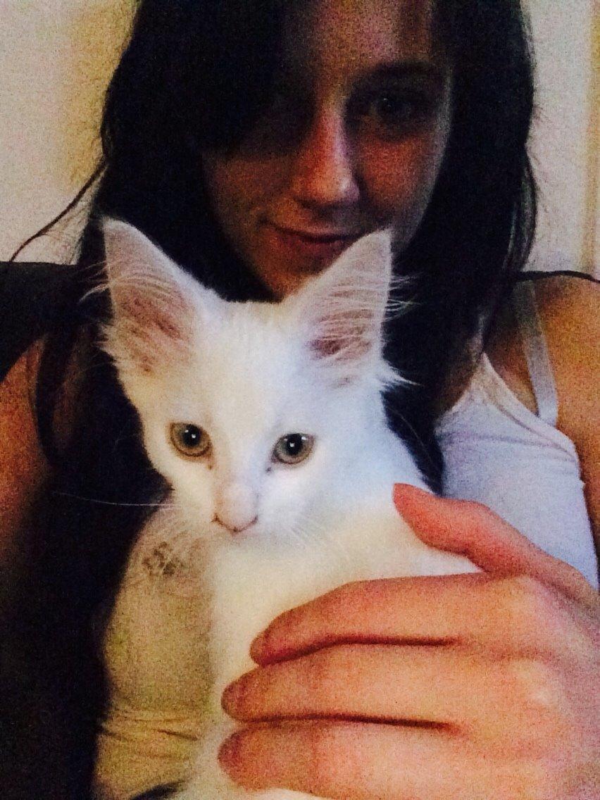 Maine Coon Ahri "Mitte" billede 7