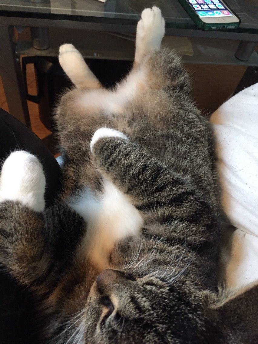 Huskat Tonser billede 26