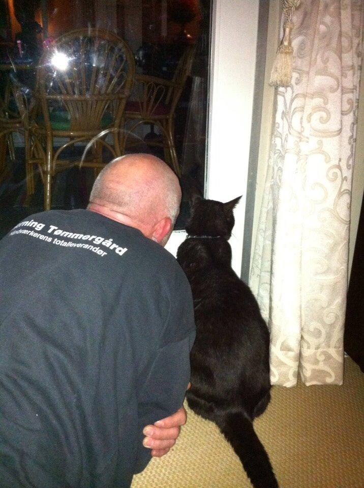 Blanding af racer Pelle billede 2