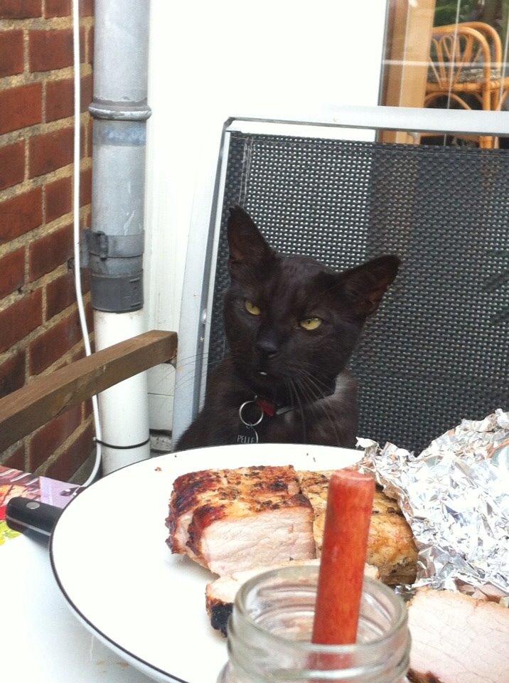 Blanding af racer Pelle billede 4