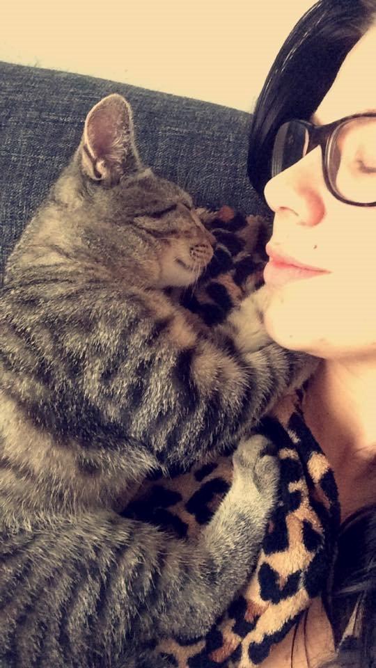 Huskat Arnold billede 13