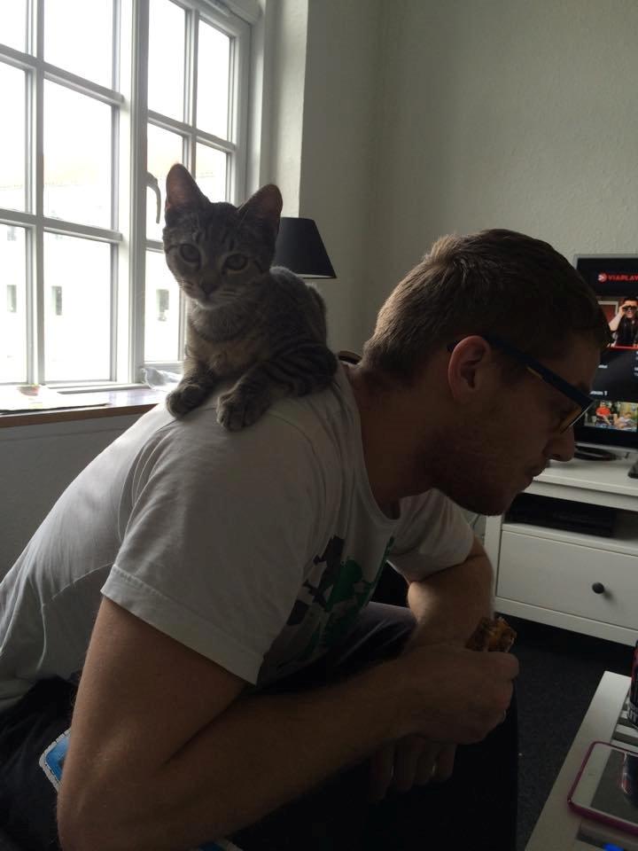 Huskat Arnold billede 14