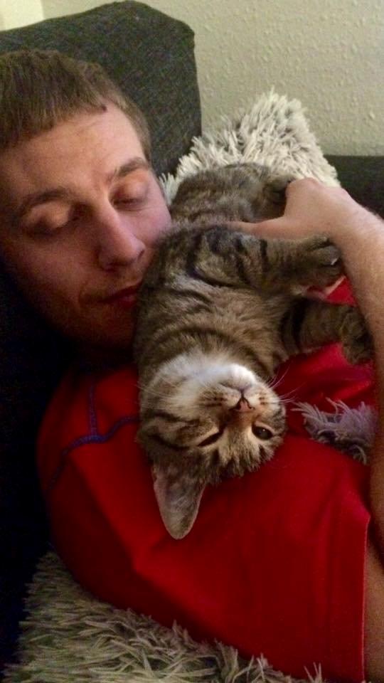 Europé Eife's Whirlaway (Willy) - Første dag i sit nye hjem - 17 uger gammel. billede 13