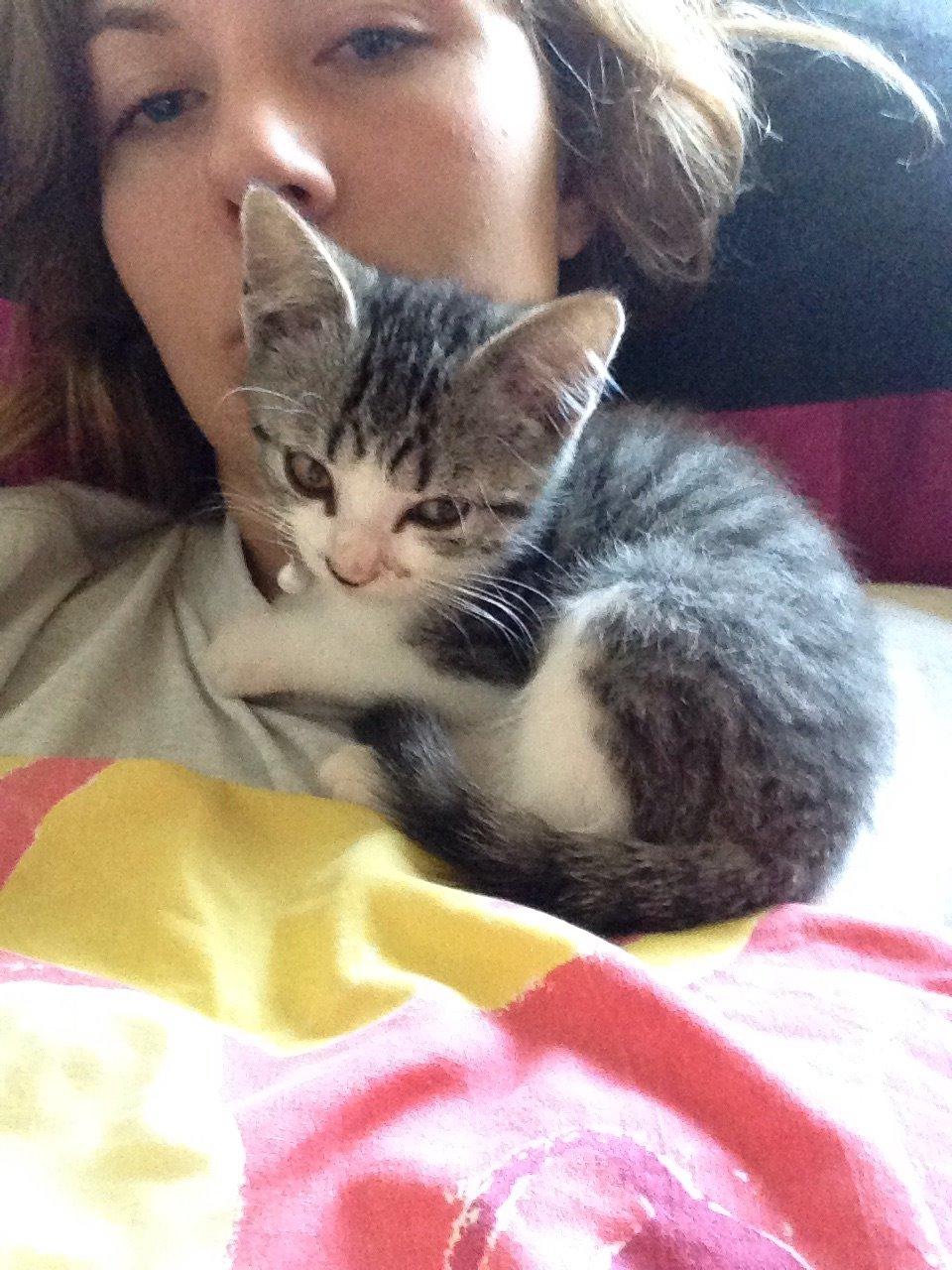 Huskat Høker billede 5