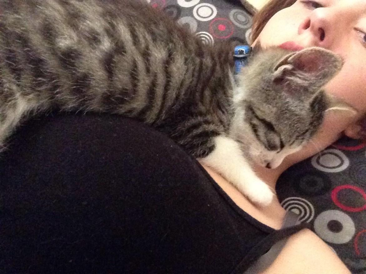 Huskat Høker billede 6