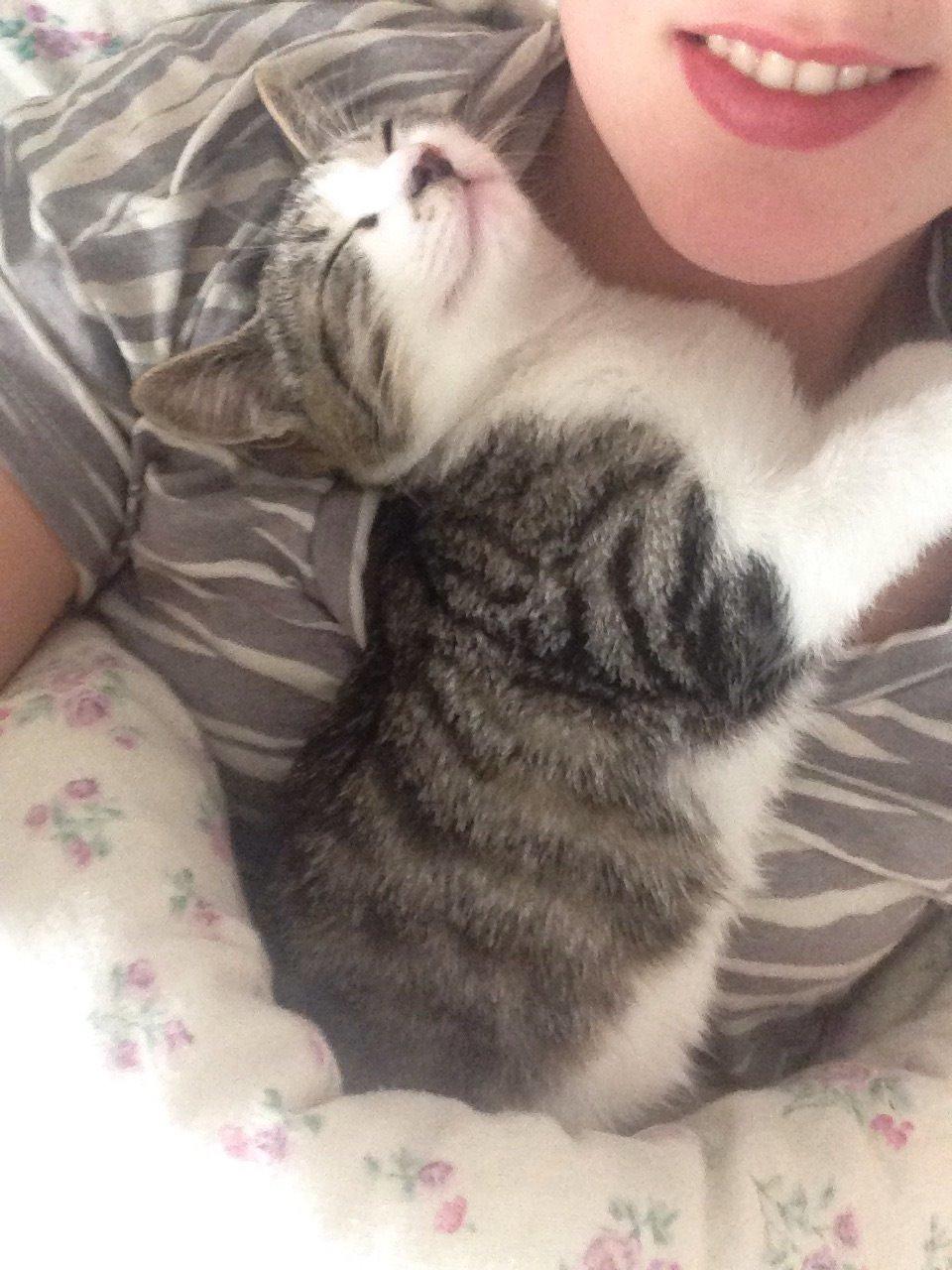 Huskat Høker billede 27