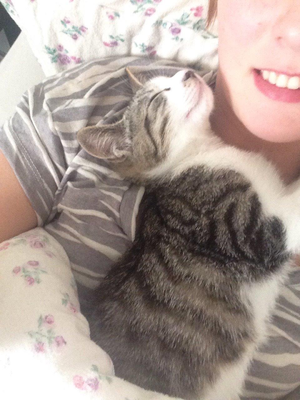 Huskat Høker billede 29