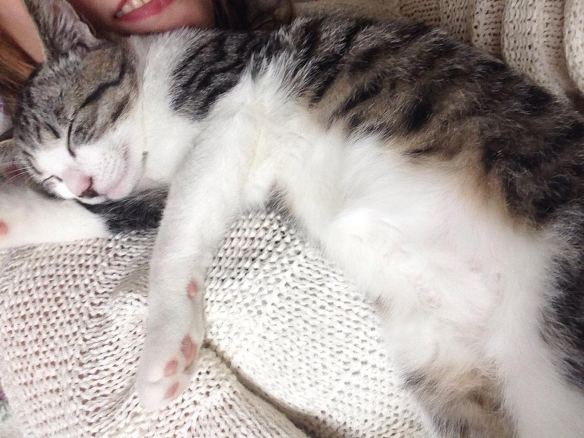 Huskat Høker billede 32