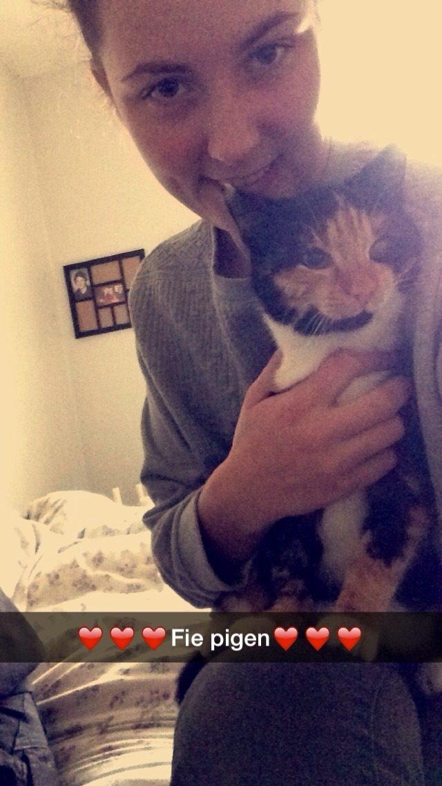 Huskat Fie billede 20