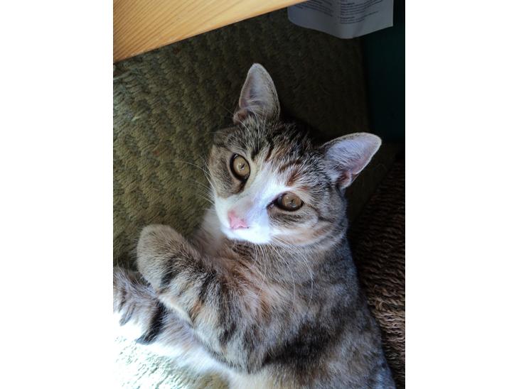 {{currentPhoto.altText}} billede {{currentPhoto.number}}