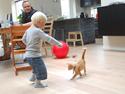 Huskat Baggårds Røde R.I.P