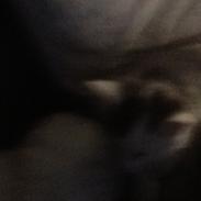 Blanding af racer Nybos Meílí 