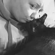 Blanding af racer Ninja