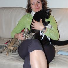 Huskat Gammelbys Misser R.I.P