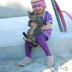 Huskat Gammelbys Misser R.I.P