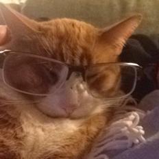 Blanding af racer Buddha R.I.P