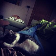 Blanding af racer Storm