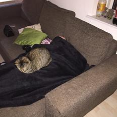 Blanding af racer Mille