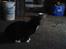 Huskat mulle (bamse)