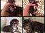 Maine Coon Simba - Som babymis. :)