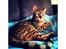 Bengal Conrad 