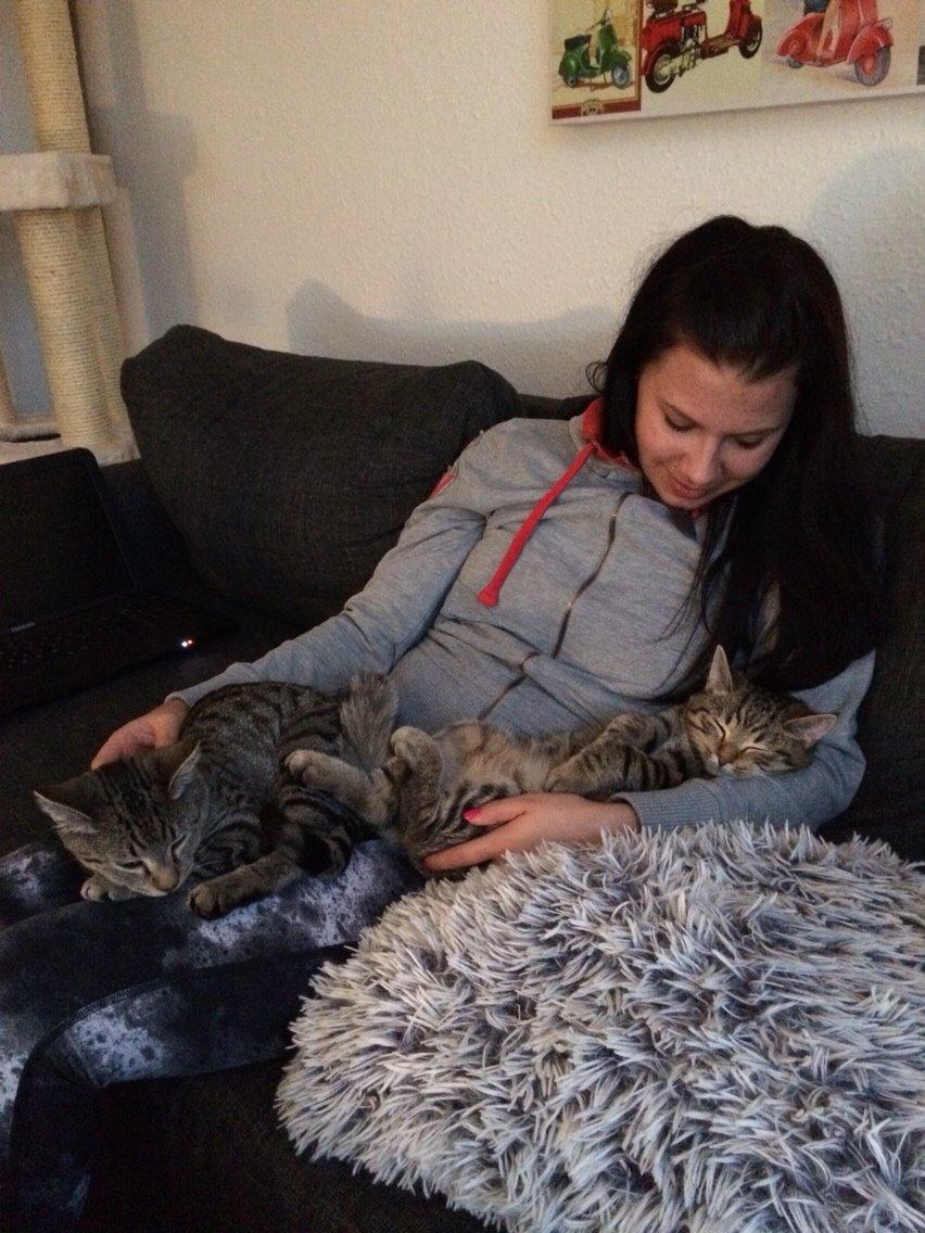 Huskat Arnold billede 19