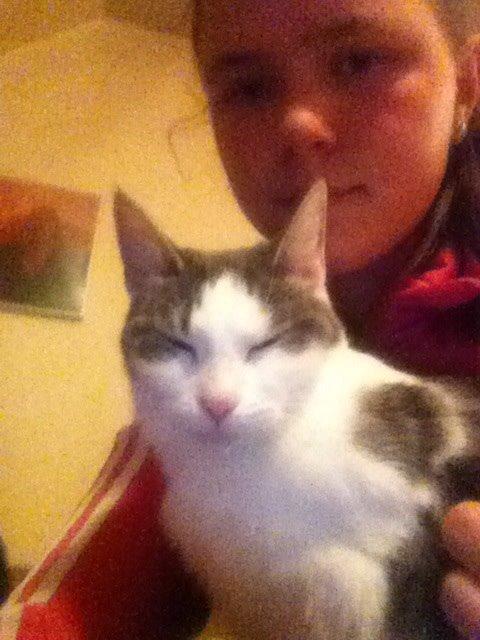 Blanding af racer Luna billede 2