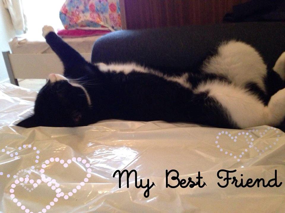 Huskat Balou - billede siger sig selv <3<3<3<3 billede 9