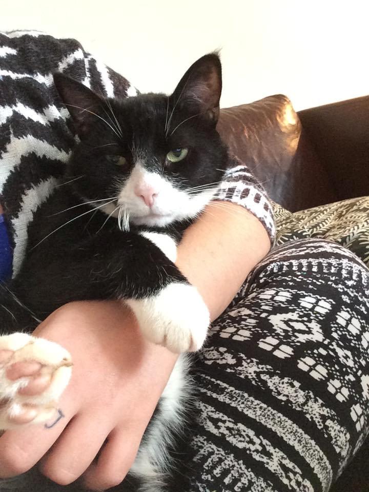 Huskat Balou - moar's baby <3<3<3 billede 12