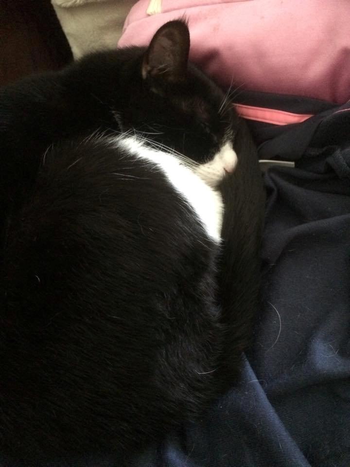 Huskat Balou - <3<3<3<3 billede 18