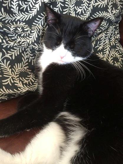 Huskat Balou - <3<3<3 billede 20