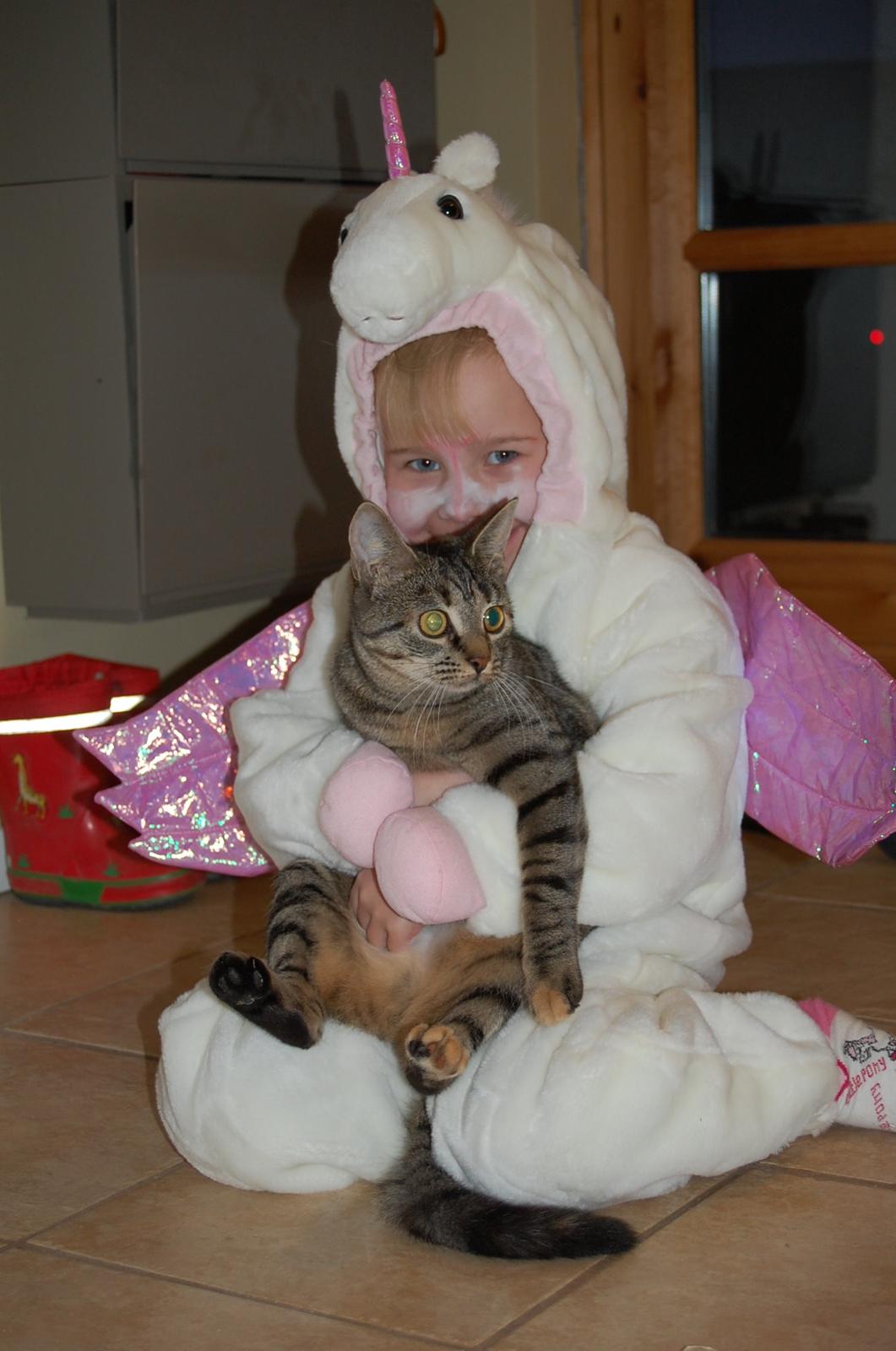 Huskat Gammelbys Misser R.I.P - Min elskede Misser. billede 4