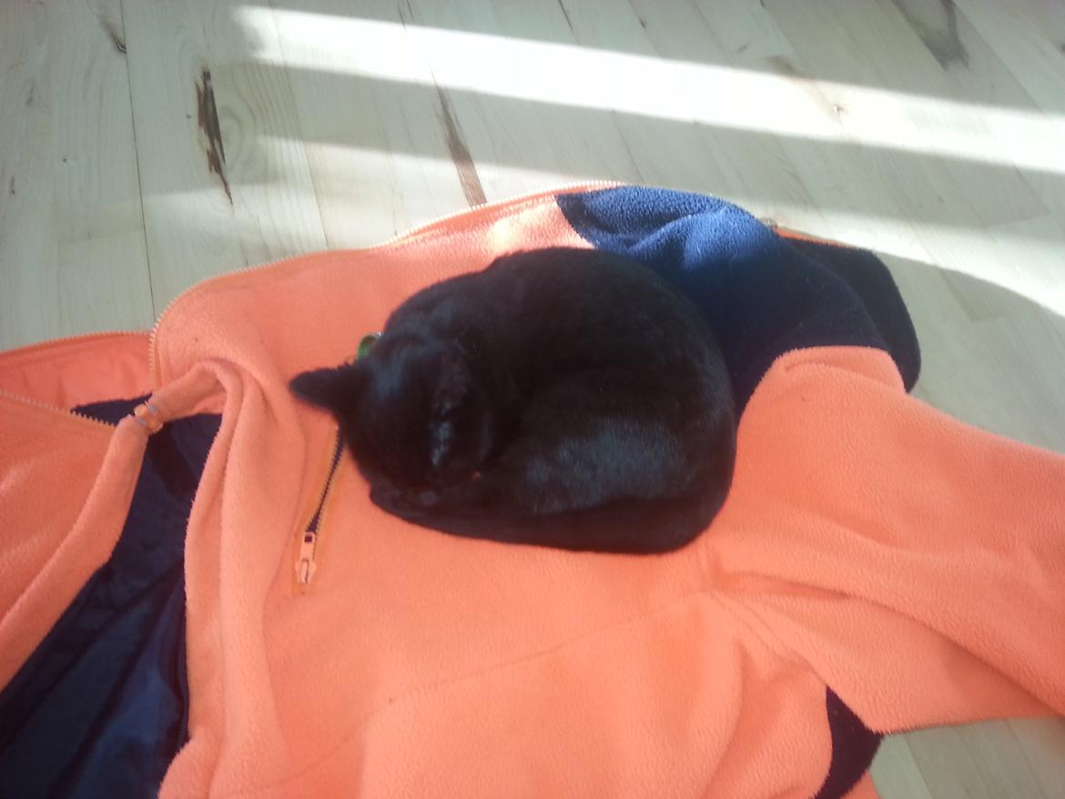 Huskat MY - hygge nov 2014 billede 12