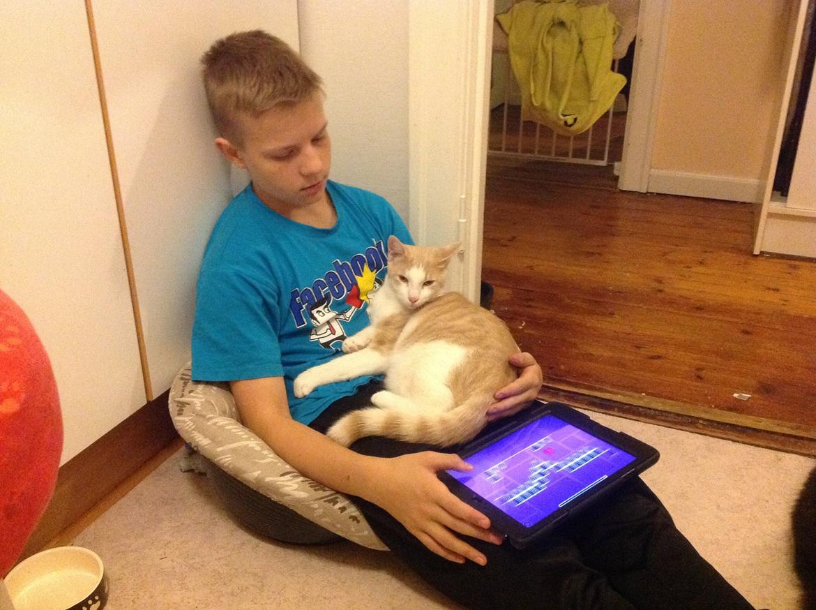 Huskat Simba billede 19