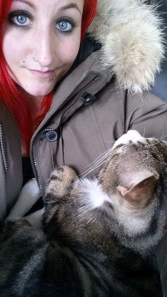 Huskat Misse billede 7