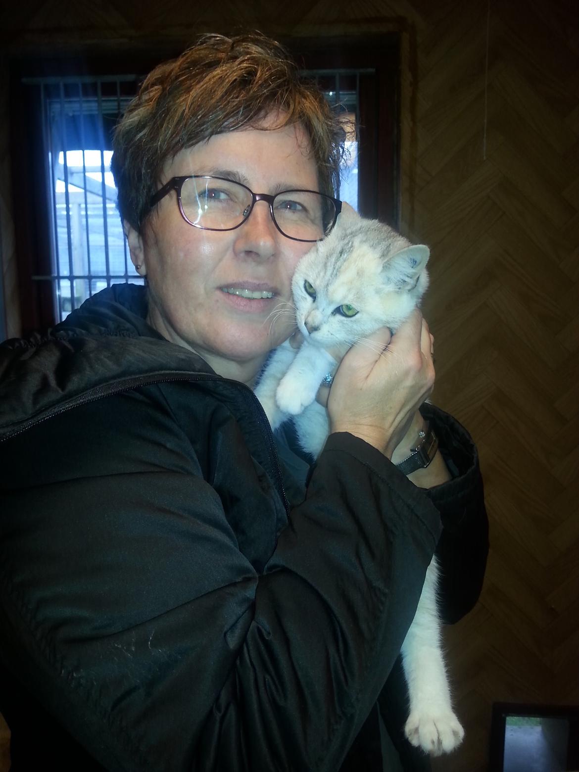 Blanding af racer Cleo billede 1